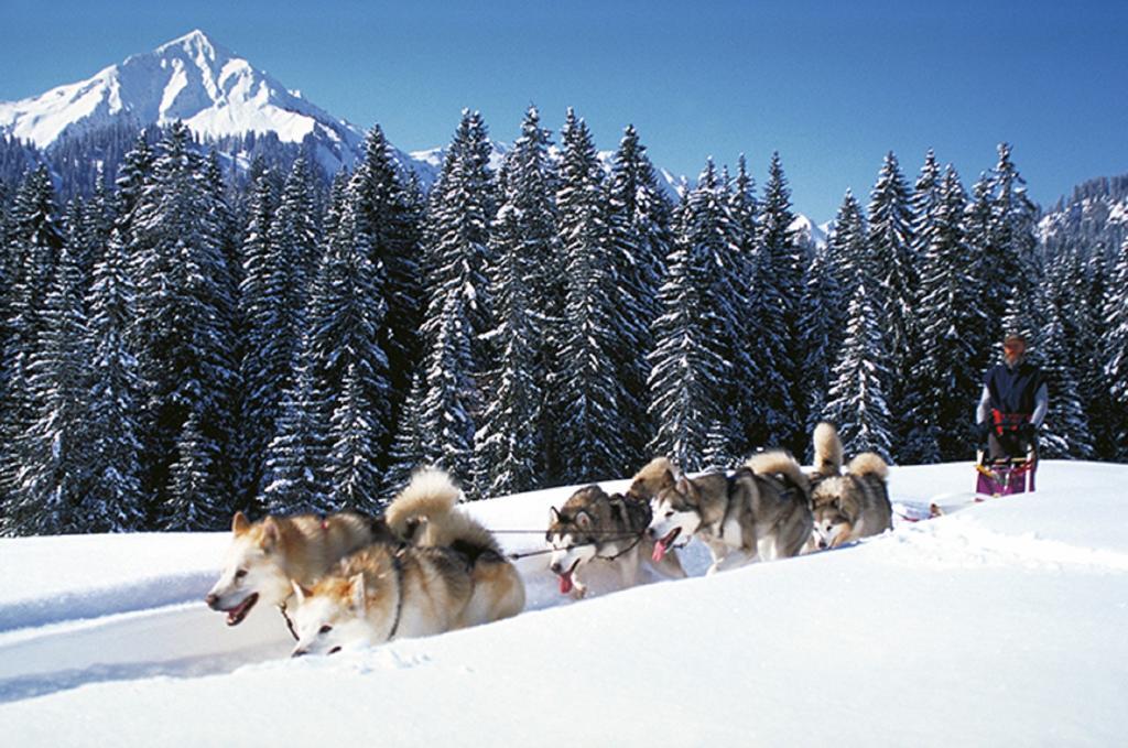 Alpen Select Lodge Kleinwalsertal Рицлерн Экстерьер фото